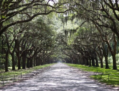 SAVANNAH, GEORGIA